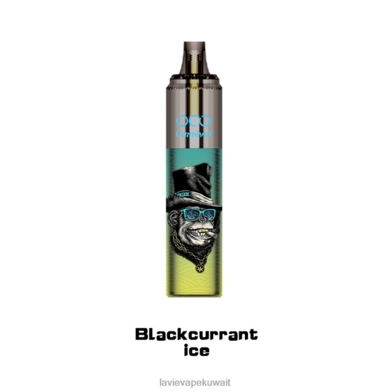 LAVIE Vape Price - LAVIE OCO كرنفال 10000 نفث جليد الكشمش الأسود 8H600348