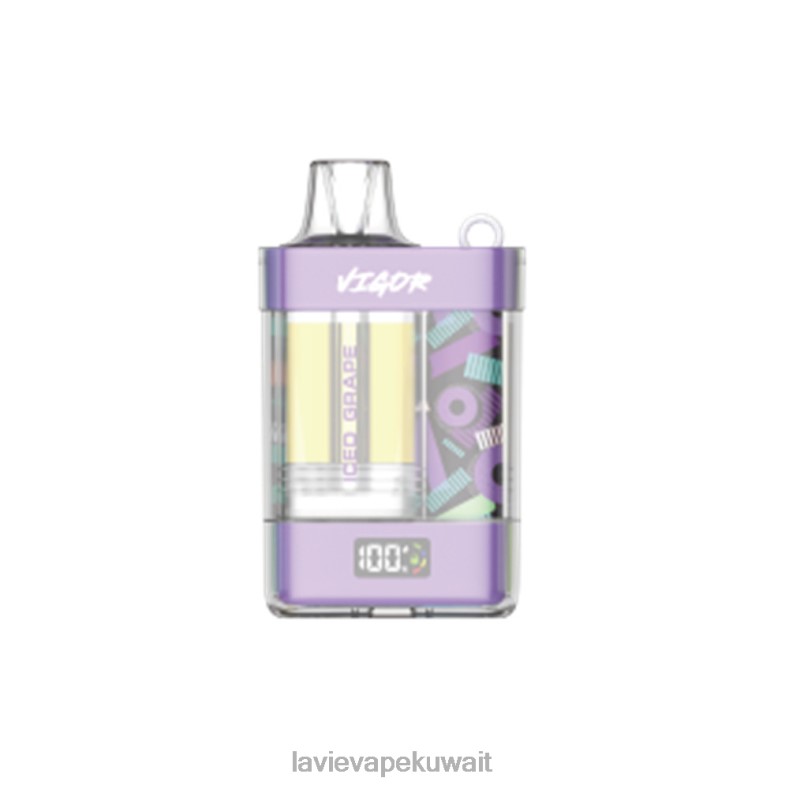LAVIE Vape Price - LAVIE VIGOR 15000 نفث عنب مثلج 8H6008