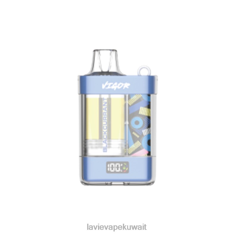 LAVIE Vape Review - LAVIE VIGOR 15000 نفث الكشمش الأسود 8H6009