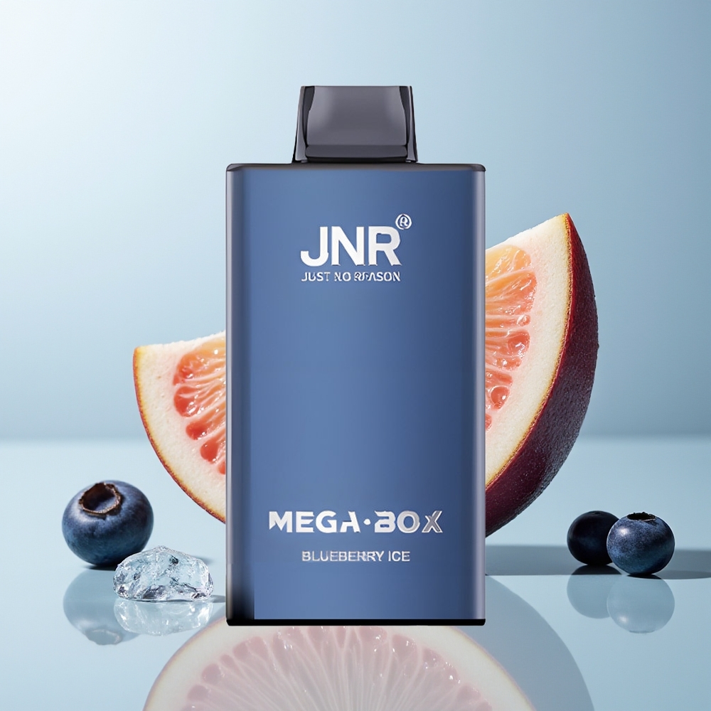 JNR Mega Box 25000 توت أزرق مثلج